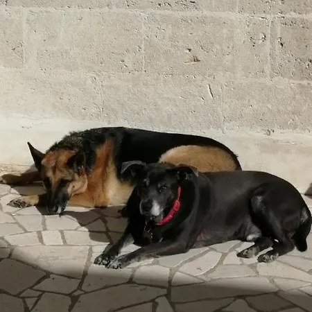Casa Serradei דירה Torchiarolo