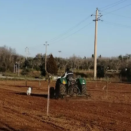Casa Serradei דירה Torchiarolo