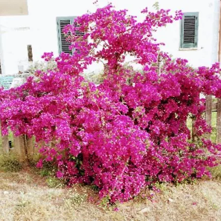 דירה Casa Serradei