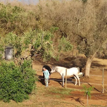 דירה Casa Serradei Torchiarolo