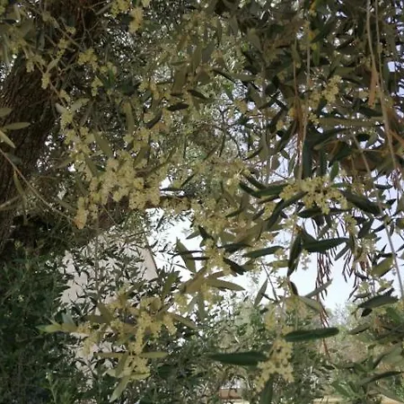 Casa Serradei * Torchiarolo