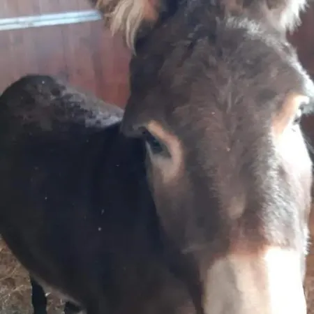 Apartamento Casa Serradei *