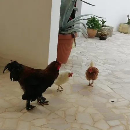 Casa Serradei Apartamento *