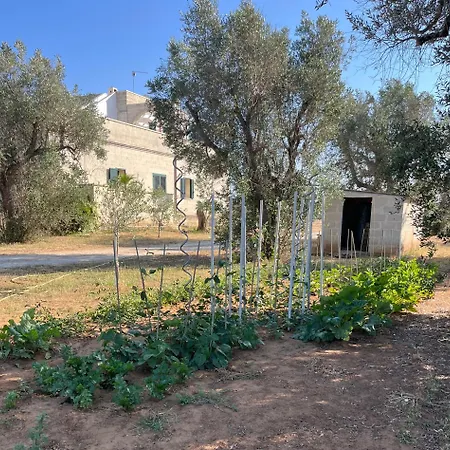 Casa Serradei
