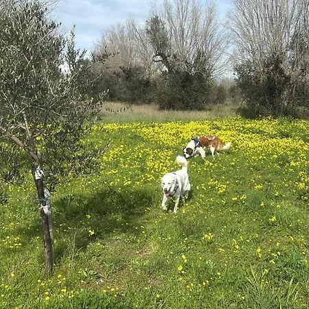 Appartamento Casa Serradei