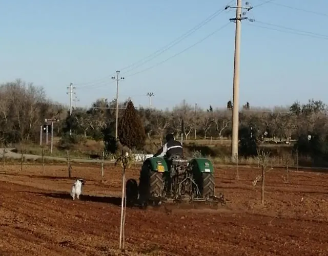 Casa Serradei アパート Torchiarolo